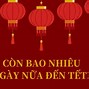 Tết Âm Lịch 2024 Nghỉ Bao Nhiêu Ngày